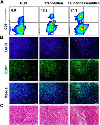 Carrier-free supramolecular nanoassemblies of pure LSD1 inhibitor for effective anti-tumor therapy